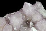 Cactus Quartz (Amethyst) Crystal Cluster - South Africa #132527-3